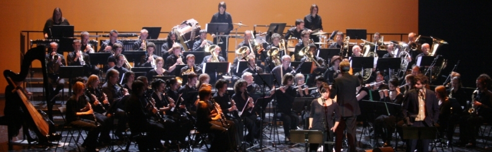 Festival de Jazz d'Amiens avec Fred Poulet et Sarah Murcia (23 mars 2008)